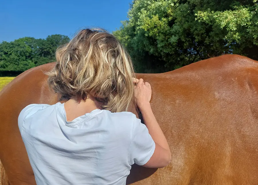 shiatsu energeticienne chevaux nantes pornic saint brevin