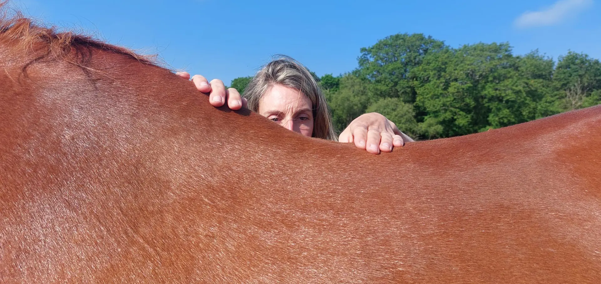 shiatsu équin saint brevin saint pere en retz vue