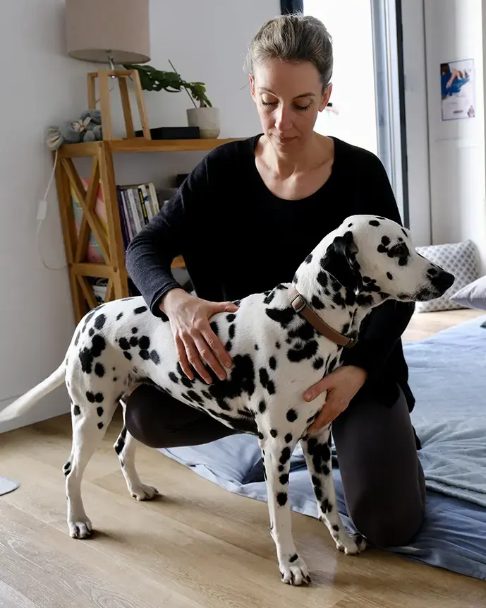 shiatsu masseuse chien loire atlantique