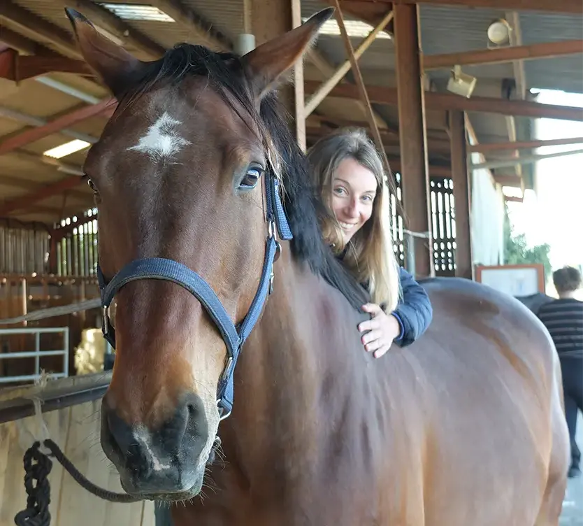 therapie shiatsu pour chevaux saint nazaire la baule