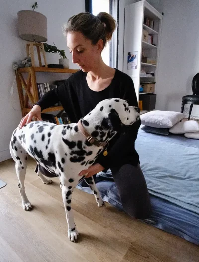 praticien shiatsu chien pornic